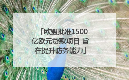欧盟批准1500亿欧元贷款项目 旨在提升防务能力