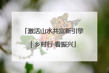 激活山水共富新引擎｜乡村行·看振兴