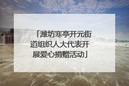 潍坊寒亭开元街道组织人大代表开展爱心捐赠活动