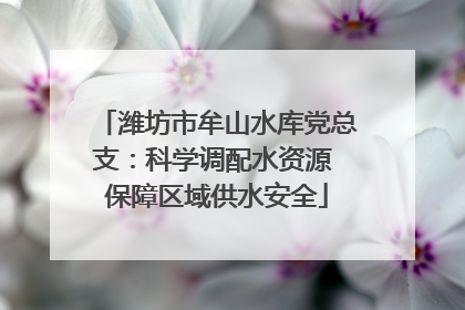 潍坊市牟山水库党总支：科学调配水资源 保障区域供水安全
