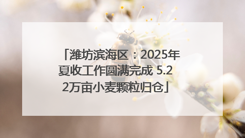 潍坊滨海区：2025年夏收工作圆满完成 5.22万亩小麦颗粒归仓