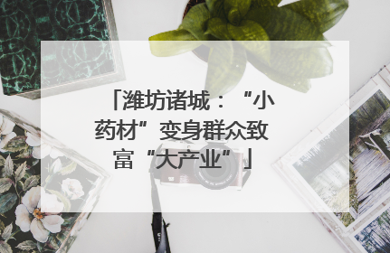 潍坊诸城：“小药材”变身群众致富“大产业”