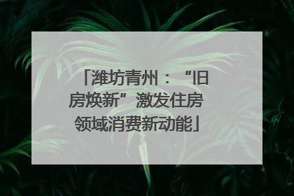 潍坊青州：“旧房焕新”激发住房领域消费新动能
