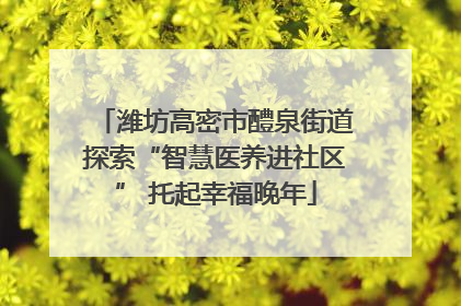 潍坊高密市醴泉街道探索“智慧医养进社区” 托起幸福晚年