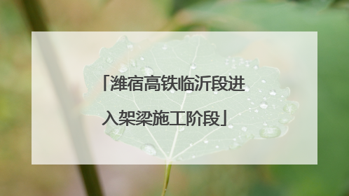 潍宿高铁临沂段进入架梁施工阶段