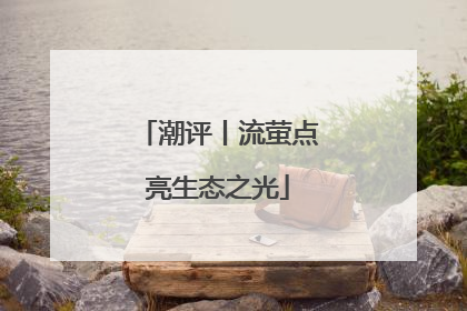 潮评丨流萤点亮生态之光