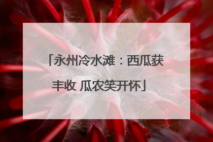 永州冷水滩：西瓜获丰收 瓜农笑开怀