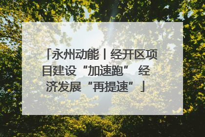 永州动能丨经开区项目建设“加速跑” 经济发展“再提速”