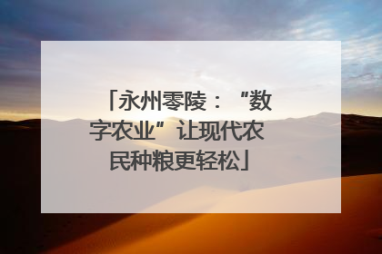 永州零陵：“数字农业”让现代农民种粮更轻松
