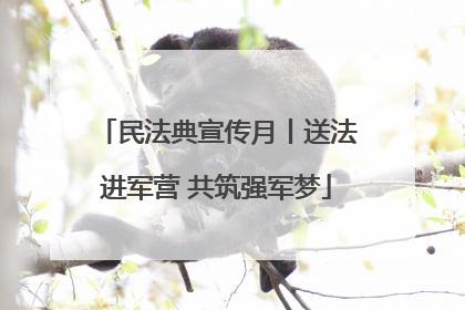 民法典宣传月丨送法进军营 共筑强军梦