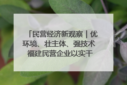 民营经济新观察｜优环境、壮主体、强技术 福建民营企业以实干担当聚势谋进