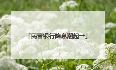 民营银行降息潮起→