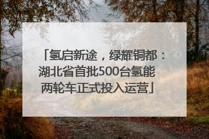 氢启新途，绿耀铜都：湖北省首批500台氢能两轮车正式投入运营