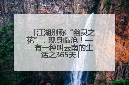 江湖别称“幽灵之花”，现身临沧！——有一种叫云南的生活之365天