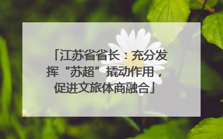 江苏省省长：充分发挥“苏超”撬动作用，促进文旅体商融合