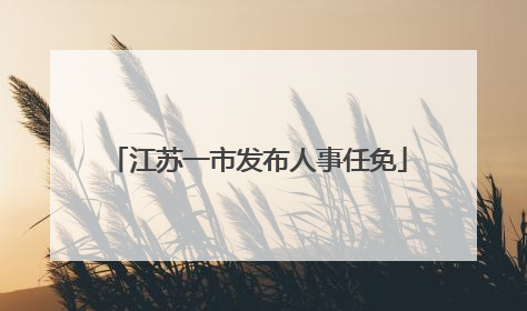 江苏一市发布人事任免