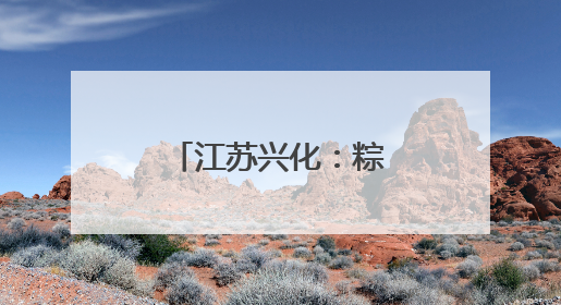 江苏兴化：粽香传情迎端午