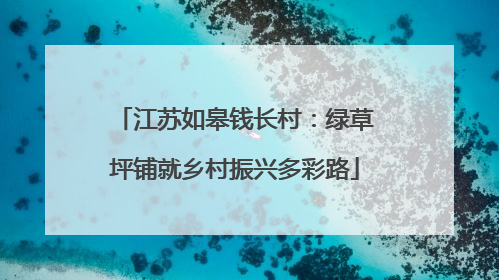 江苏如皋钱长村：绿草坪铺就乡村振兴多彩路