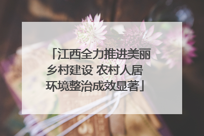江西全力推进美丽乡村建设 农村人居环境整治成效显著