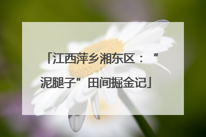 江西萍乡湘东区：“泥腿子”田间掘金记