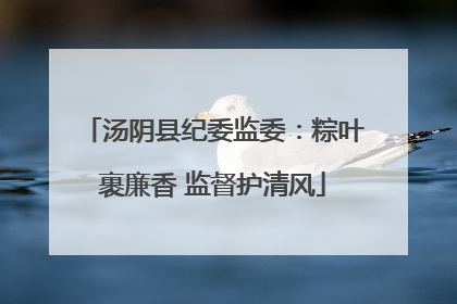 汤阴县纪委监委：粽叶裹廉香 监督护清风