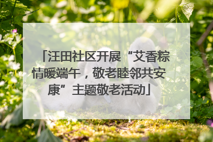 汪田社区开展“艾香粽情暖端午，敬老睦邻共安康”主题敬老活动