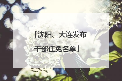沈阳、大连发布干部任免名单