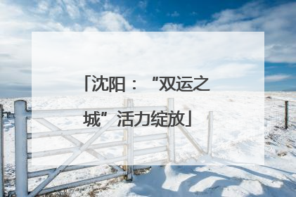 沈阳：“双运之城”活力绽放