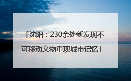 沈阳：230余处新发现不可移动文物重现城市记忆