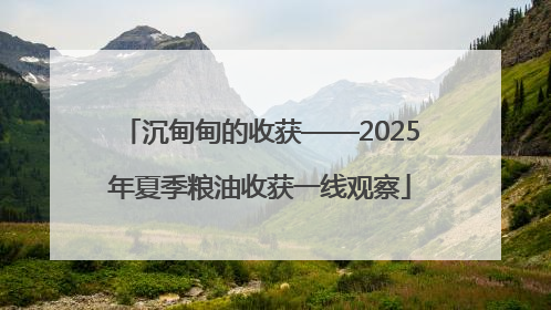 沉甸甸的收获——2025年夏季粮油收获一线观察