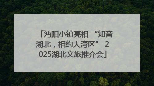 沔阳小镇亮相 “知音湖北，相约大湾区” 2025湖北文旅推介会