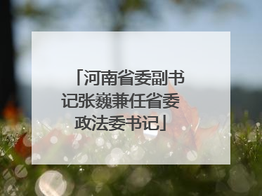 河南省委副书记张巍兼任省委政法委书记