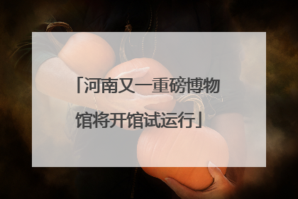 河南又一重磅博物馆将开馆试运行