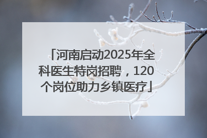 河南启动2025年全科医生特岗招聘，120个岗位助力乡镇医疗