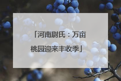 河南尉氏：万亩桃园迎来丰收季