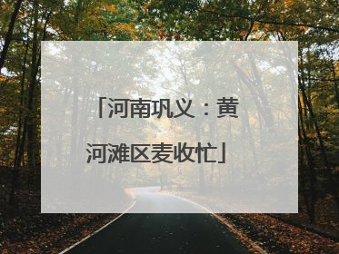 河南巩义：黄河滩区麦收忙
