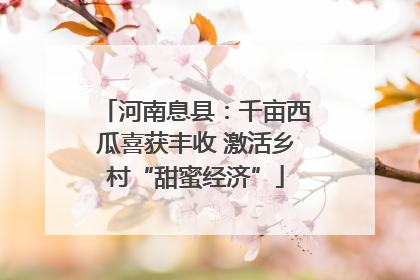 河南息县：千亩西瓜喜获丰收 激活乡村“甜蜜经济”