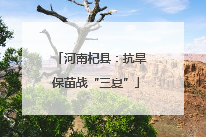 河南杞县：抗旱保苗战“三夏”