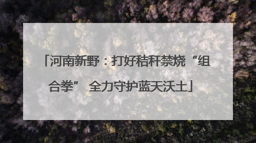 河南新野：打好秸秆禁烧“组合拳” 全力守护蓝天沃土