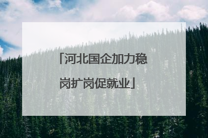 河北国企加力稳岗扩岗促就业