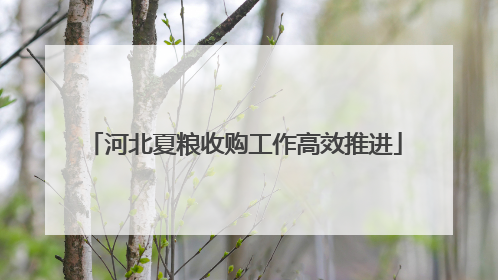 河北夏粮收购工作高效推进