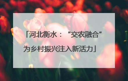 河北衡水：“交农融合”为乡村振兴注入新活力