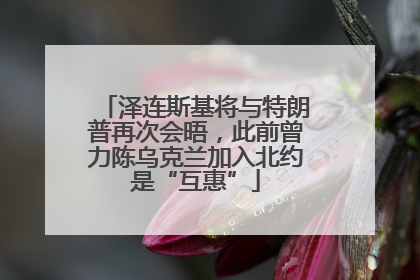 泽连斯基将与特朗普再次会晤，此前曾力陈乌克兰加入北约是“互惠”