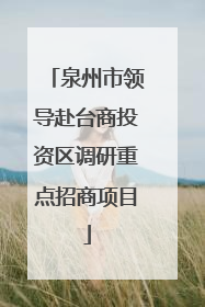 泉州市领导赴台商投资区调研重点招商项目