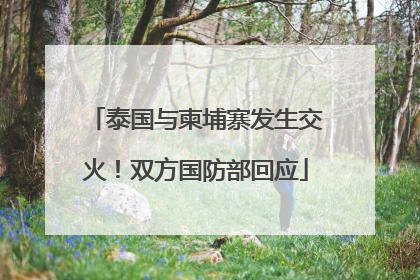 泰国与柬埔寨发生交火！双方国防部回应