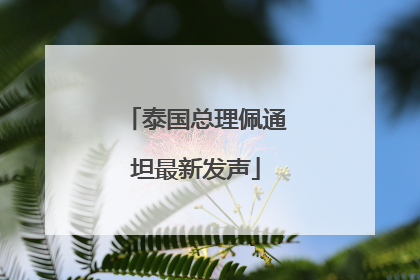 泰国总理佩通坦最新发声