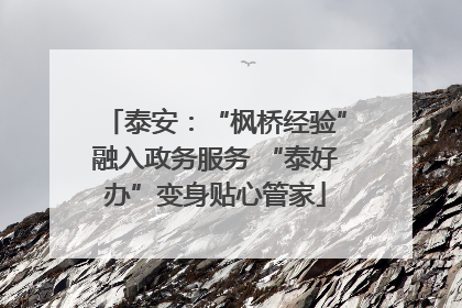 泰安：“枫桥经验”融入政务服务 “泰好办”变身贴心管家