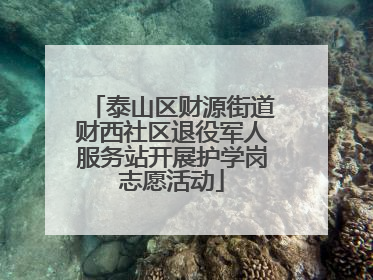 泰山区财源街道财西社区退役军人服务站开展护学岗志愿活动