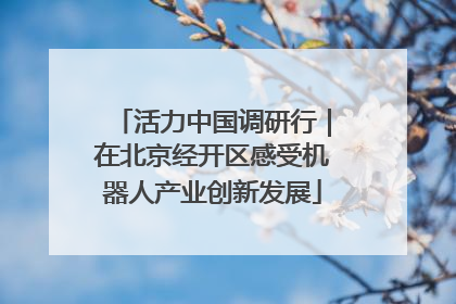 活力中国调研行｜在北京经开区感受机器人产业创新发展