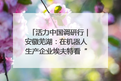 活力中国调研行｜安徽芜湖：在机器人生产企业埃夫特看“中国智造”